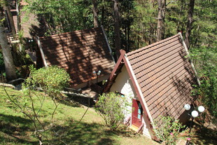 越南森林中倾斜的小屋