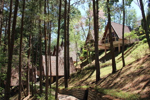 越南林间木屋 自然中的静谧居所