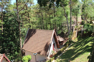 越南林间小屋 静谧自然之景