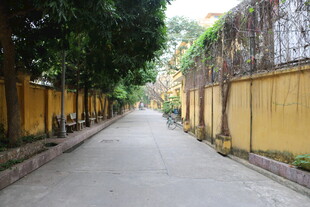 越南黄墙绿树间的幽静小道