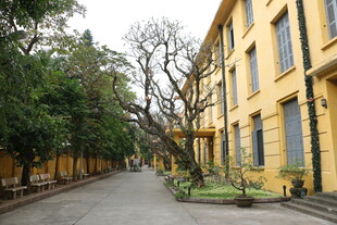 越南黄色建筑旁的静谧街道