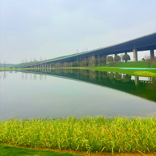 河畔长桥映绿水
