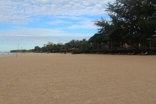 越南沙滩风光 远处树木与蓝天