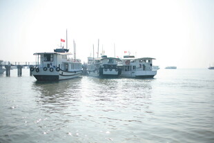 越南港口停泊的船只