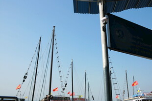 越南港口林立的帆船桅杆景观