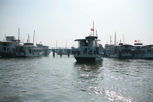 越南港口停泊的多艘船只