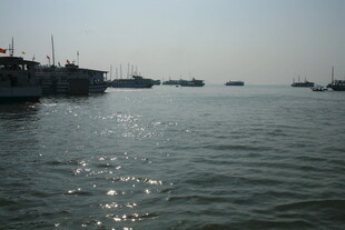 越南海上船只停泊景象