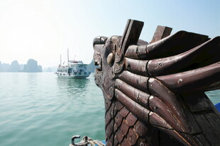 越南龙头雕塑望宁静水域