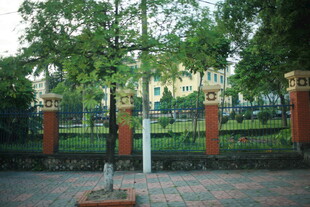 越南庭院绿树景观