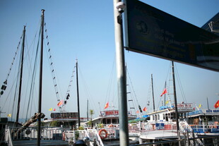 越南港口中的多艘帆船