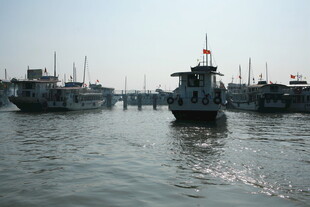 越南港口停泊的多艘船只