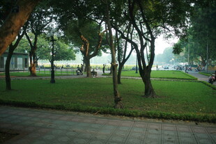 越南城市公园中的静谧林荫道