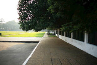 越南林荫步道旁的开阔绿地