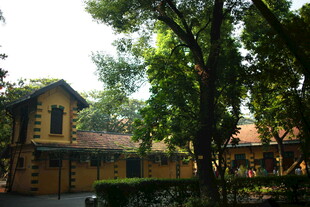 越南绿树环绕的古朴黄屋