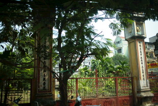 越南绿树环绕的院落入口