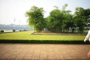 越南公园绿地景观