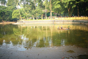 越南宁静池塘边的绿树倒影