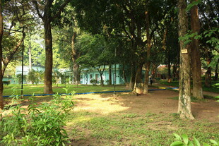 越南林间幽静的自然休闲场景