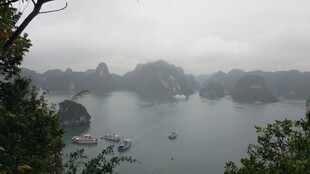 越南雾中仙境般的海上喀斯特景观