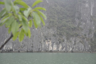 越南山水间绿意盎然的景致