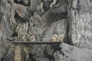 越南岩石缝隙中的神秘景象