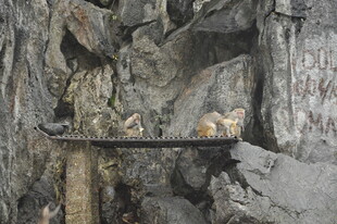 越南山洞中的神秘宝藏陈列