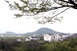 春日山村美景