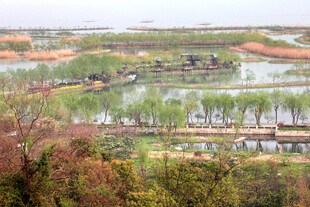 水乡田园风光美景