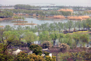 春日湖畔绿树成荫美景