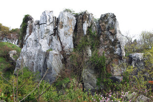 嶙峋怪石与山间绿植