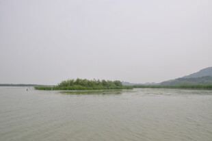 湖中小岛风光