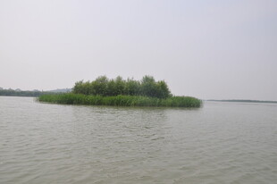 湖中小岛风光