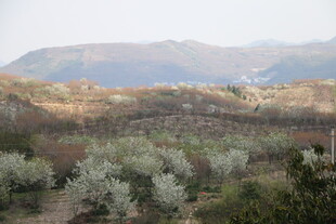 山间田园风光
