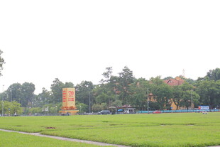 越南绿意盎然的户外风景