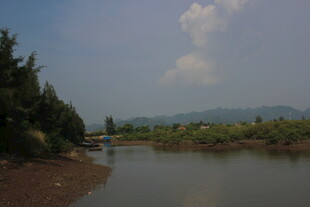 越南河畔风光 绿树环绕