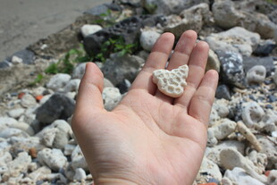 越南手捧海边碎石