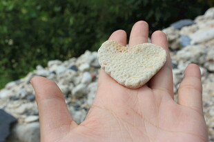 越南手心的编织爱心物件