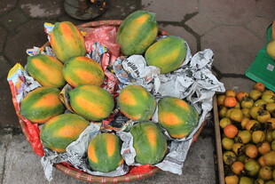 越南新鲜多彩芒果待售