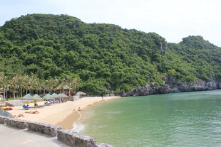 越南美丽海滨风光