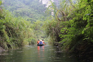 越南河上漂流 穿梭绿意之间