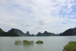 越南宁静山水间的自然美景
