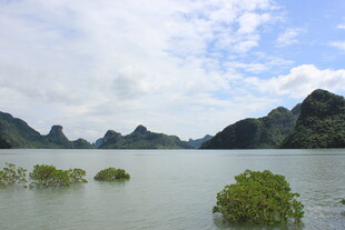 越南山水相依的宁静湖景
