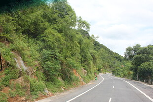 越南蜿蜒山路旁的葱郁景致