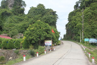 越南乡村林荫小路