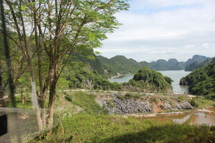 越南秀丽山水间的绿意景致