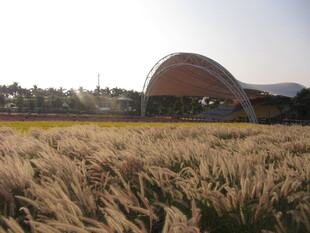夕阳下的金黄草海与建筑