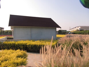田园小屋旁的多彩植物景观