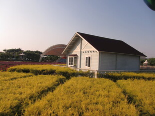 田野中的小屋