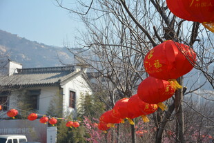 古村红灯笼点缀新春景