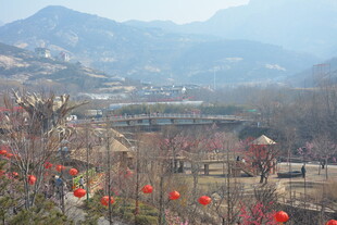 山村春日景 繁花映远山